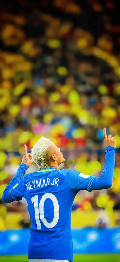 尼黑的目光 尼黑的目光